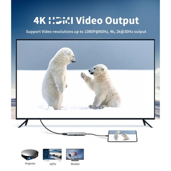 Dock USB Type-C, SILKASE, dublu HDMI, VGA 4k, ethernet, microSD, SD, USB 3.0, USB-C (Docking stations, L0015) by www.silkase.ro