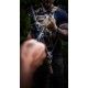 Cablu Tactical Fast Rope Aramid 2.0 USB-A la USB-C, 0.3m, Negru (Bakr, 57983127946) by www.silkase.ro