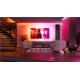 Kit de pornire Nanoleaf 4D cu banda LED 4M pentru sincronizare ecran, compatibil TV pana la 65 inch (Diverse accesorii, NF082K02-40LS) by www.silkase.ro