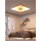 Kit de pornire 3 panouri luminoase de tavan Nanoleaf Skylight (Diverse accesorii, NF083K02-3SL) by www.silkase.ro