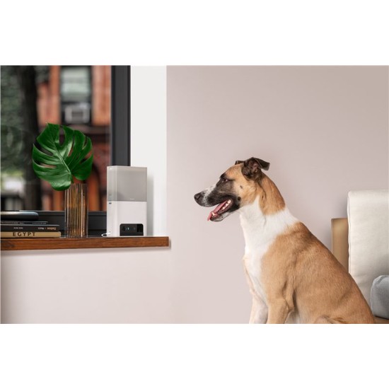 Camera interactiva Petcube Bites 2 Lite cu dispenser de recompense (Diverse accesorii, BL10US) by www.silkase.ro
