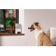 Camera interactiva Petcube Bites 2 Lite cu dispenser de recompense (Diverse accesorii, BL10US) by www.silkase.ro