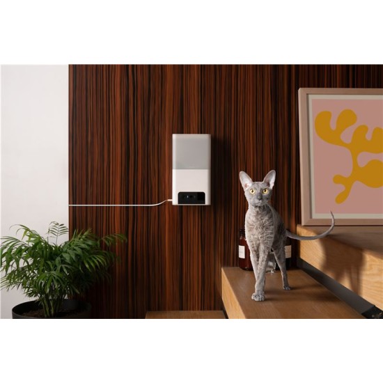 Camera interactiva Petcube Bites 2 Lite cu dispenser de recompense (Diverse accesorii, BL10US) by www.silkase.ro