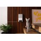 Camera interactiva Petcube Bites 2 Lite cu dispenser de recompense (Diverse accesorii, BL10US) by www.silkase.ro