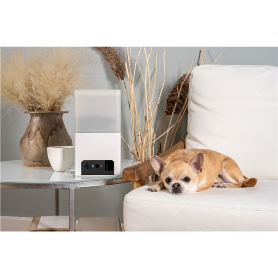 Camera interactiva Petcube Bites 2 Lite cu dispenser de recompense (Diverse accesorii, BL10US) by www.silkase.ro