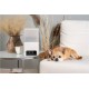 Camera interactiva Petcube Bites 2 Lite cu dispenser de recompense (Diverse accesorii, BL10US) by www.silkase.ro