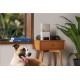 Camera interactiva Petcube Bites 2 Lite cu dispenser de recompense (Diverse accesorii, BL10US) by www.silkase.ro