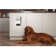 Camera interactiva Petcube Bites 2 Lite cu dispenser de recompense (Diverse accesorii, BL10US) by www.silkase.ro