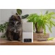 Camera interactiva Petcube Bites 2 Lite cu dispenser de recompense (Diverse accesorii, BL10US) by www.silkase.ro