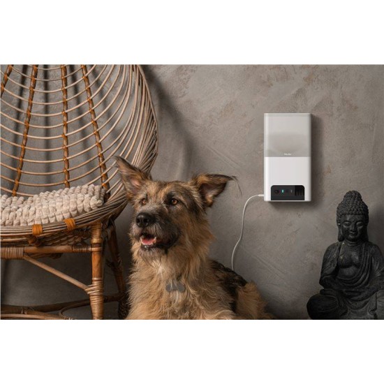 Camera interactiva Petcube Bites 2 Lite cu dispenser de recompense (Diverse accesorii, BL10US) by www.silkase.ro