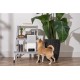 Camera interactiva Petcube Bites 2 Lite cu dispenser de recompense (Diverse accesorii, BL10US) by www.silkase.ro