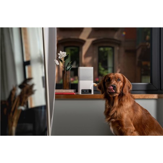 Camera interactiva Petcube Bites 2 Lite cu dispenser de recompense (Diverse accesorii, BL10US) by www.silkase.ro