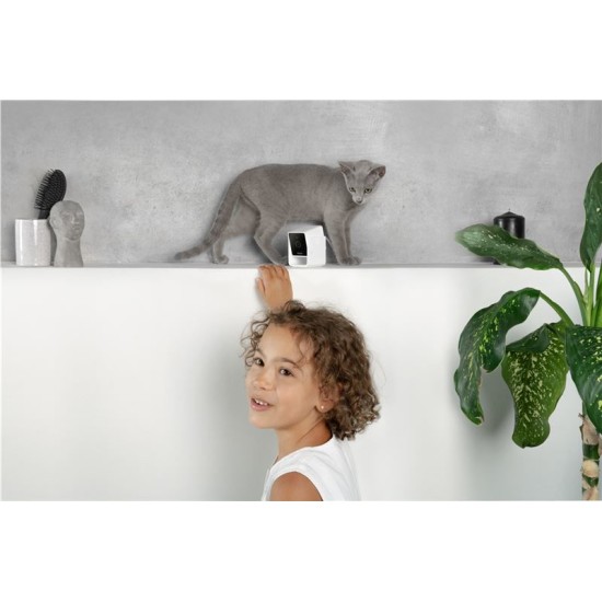 Camera de supraveghere pentru animale de companie PetCube Cam (PetCube, Ingredi) by www.silkase.ro Camera de supraveghere pentru animale de companie PetCube Cam (Diverse accesorii, CC10US) by www.silkase.ro