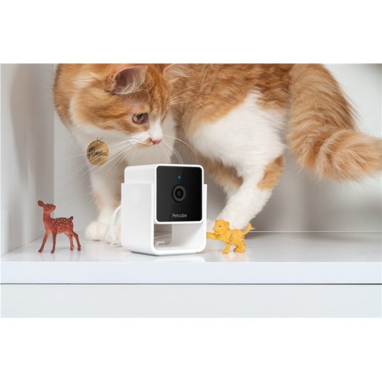Camera de supraveghere pentru animale de companie PetCube Cam (PetCube, Ingredi) by www.silkase.ro Camera de supraveghere pentru animale de companie PetCube Cam (Diverse accesorii, CC10US) by www.silkase.ro