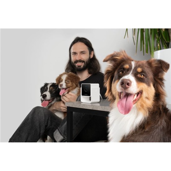 Camera de supraveghere pentru animale de companie PetCube Cam (PetCube, Ingredi) by www.silkase.ro Camera de supraveghere pentru animale de companie PetCube Cam (Diverse accesorii, CC10US) by www.silkase.ro