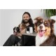 Camera de supraveghere pentru animale de companie PetCube Cam (PetCube, Ingredi) by www.silkase.ro Camera de supraveghere pentru animale de companie PetCube Cam (Diverse accesorii, CC10US) by www.silkase.ro