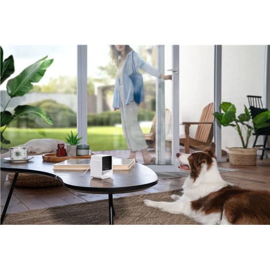 Camera de supraveghere pentru animale de companie PetCube Cam (PetCube, Ingredi) by www.silkase.ro Camera de supraveghere pentru animale de companie PetCube Cam (Diverse accesorii, CC10US) by www.silkase.ro