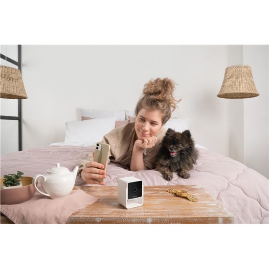 Camera de supraveghere pentru animale de companie PetCube Cam (PetCube, Ingredi) by www.silkase.ro Camera de supraveghere pentru animale de companie PetCube Cam (Diverse accesorii, CC10US) by www.silkase.ro