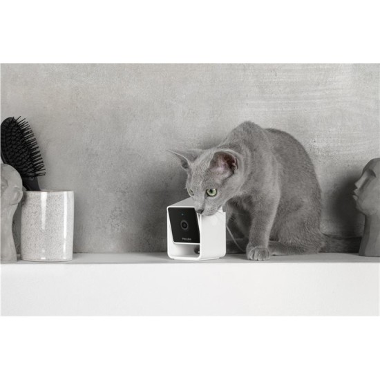 Camera de supraveghere pentru animale de companie PetCube Cam (PetCube, Ingredi) by www.silkase.ro Camera de supraveghere pentru animale de companie PetCube Cam (Diverse accesorii, CC10US) by www.silkase.ro