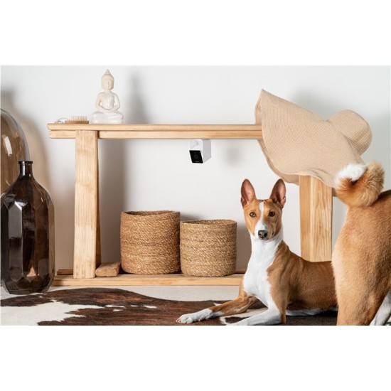 Camera de supraveghere pentru animale de companie PetCube Cam (PetCube, Ingredi) by www.silkase.ro Camera de supraveghere pentru animale de companie PetCube Cam (Diverse accesorii, CC10US) by www.silkase.ro
