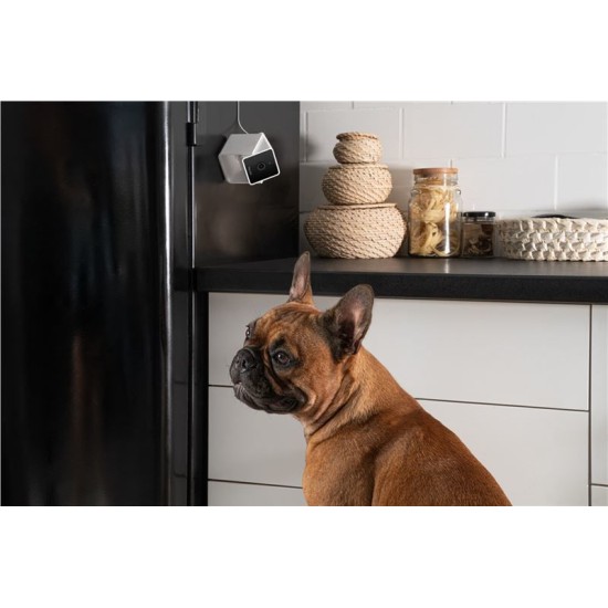 Camera de supraveghere pentru animale de companie PetCube Cam (PetCube, Ingredi) by www.silkase.ro Camera de supraveghere pentru animale de companie PetCube Cam (Diverse accesorii, CC10US) by www.silkase.ro