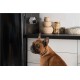 Camera de supraveghere pentru animale de companie PetCube Cam (PetCube, Ingredi) by www.silkase.ro Camera de supraveghere pentru animale de companie PetCube Cam (Diverse accesorii, CC10US) by www.silkase.ro