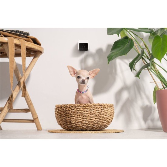 Camera de supraveghere pentru animale de companie PetCube Cam (PetCube, Ingredi) by www.silkase.ro Camera de supraveghere pentru animale de companie PetCube Cam (Diverse accesorii, CC10US) by www.silkase.ro