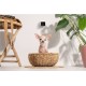 Camera de supraveghere pentru animale de companie PetCube Cam (PetCube, Ingredi) by www.silkase.ro Camera de supraveghere pentru animale de companie PetCube Cam (Diverse accesorii, CC10US) by www.silkase.ro