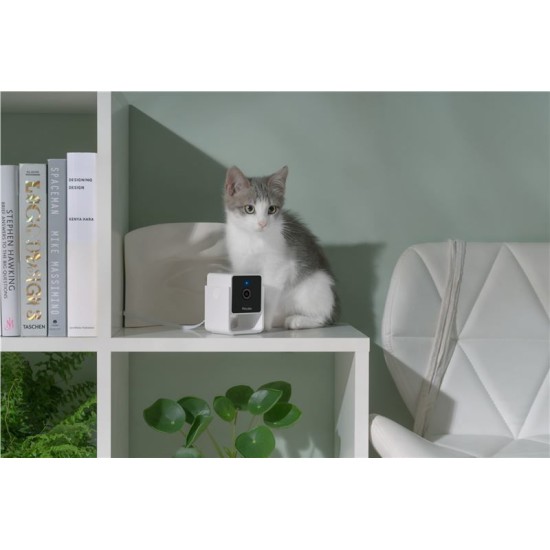 Camera de supraveghere pentru animale de companie PetCube Cam (PetCube, Ingredi) by www.silkase.ro Camera de supraveghere pentru animale de companie PetCube Cam (Diverse accesorii, CC10US) by www.silkase.ro