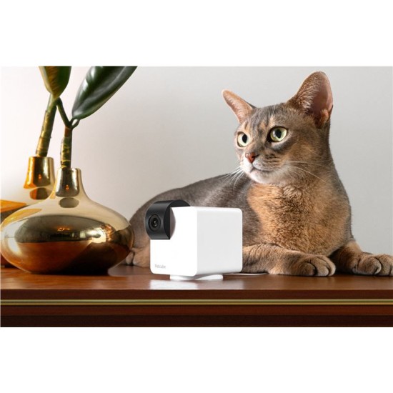 Camera rotativa 360 grade pentru animale de companie PetCube Cam 360 (Diverse accesorii, P36010US) by www.silkase.ro