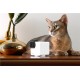 Camera rotativa 360 grade pentru animale de companie PetCube Cam 360 (Diverse accesorii, P36010US) by www.silkase.ro