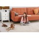 Camera interactiva Petcube Play 2 cu joc laser pentru animale (Diverse accesorii, PP20US) by www.silkase.ro
