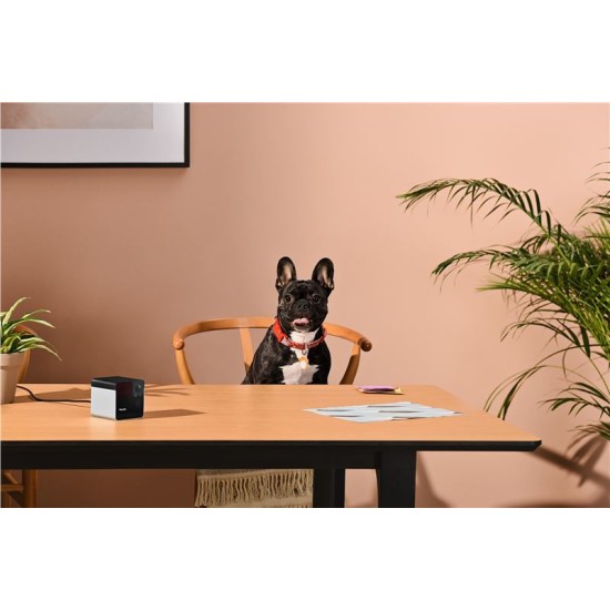 Camera interactiva Petcube Play 2 cu joc laser pentru animale (Diverse accesorii, PP20US) by www.silkase.ro