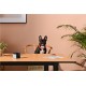 Camera interactiva Petcube Play 2 cu joc laser pentru animale (Diverse accesorii, PP20US) by www.silkase.ro