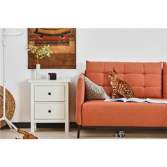 Camera interactiva Petcube Play 2 cu joc laser pentru animale (Diverse accesorii, PP20US) by www.silkase.ro