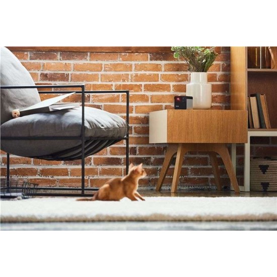 Camera interactiva Petcube Play 2 cu joc laser pentru animale (Diverse accesorii, PP20US) by www.silkase.ro