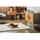 Camera interactiva Petcube Play 2 cu joc laser pentru animale (Diverse accesorii, PP20US) by www.silkase.ro