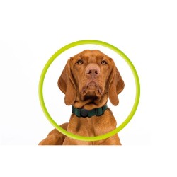 Zgarda pentru animale de companie cu suport Apple AirTag Mobile Origin, neagra