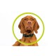 Zgarda pentru animale de companie cu suport Apple AirTag Mobile Origin, neagra (Mobile Origin, Ingredi) by www.silkase.ro Zgarda pentru animale de companie cu suport Apple AirTag Mobile Origin, neagra (Ingredi, MO-APC-BLK) by www.silkase.ro