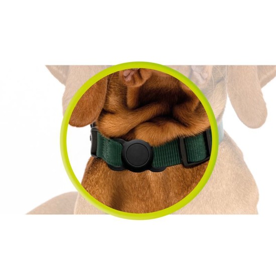 Zgarda pentru animale de companie cu suport Apple AirTag Mobile Origin, neagra (Mobile Origin, Ingredi) by www.silkase.ro Zgarda pentru animale de companie cu suport Apple AirTag Mobile Origin, neagra (Ingredi, MO-APC-BLK) by www.silkase.ro