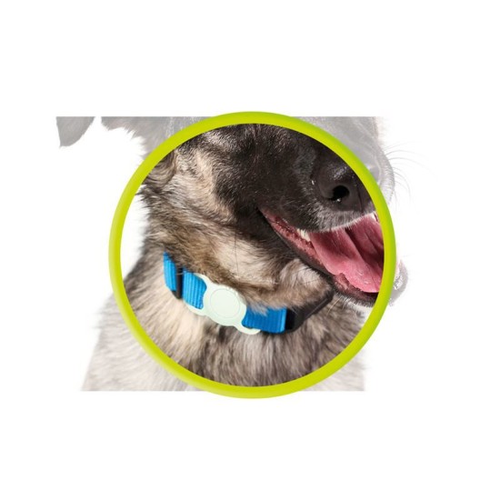 Zgarda fosforescenta pentru animale cu suport Apple AirTag Mobile Origin, verde (Mobile Origin, Ingredi) by www.silkase.ro Zgarda fosforescenta pentru animale cu suport Apple AirTag Mobile Origin, verde (Ingredi, MO-APC-FGRN) by www.silkase.ro