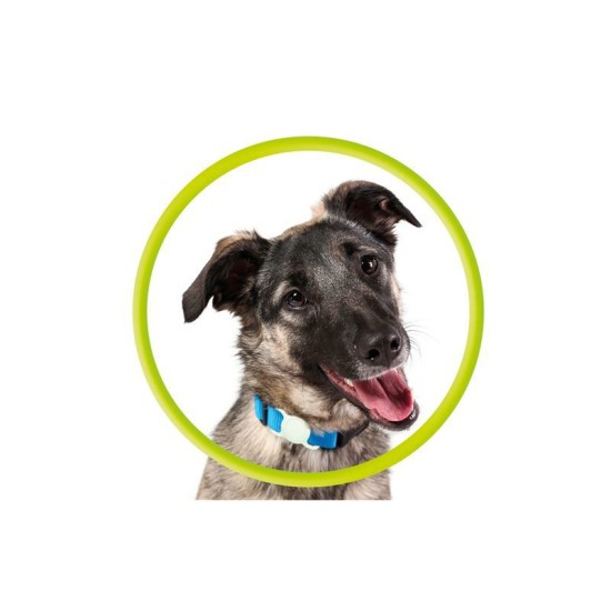 Zgarda fosforescenta pentru animale cu suport Apple AirTag Mobile Origin, verde (Mobile Origin, Ingredi) by www.silkase.ro Zgarda fosforescenta pentru animale cu suport Apple AirTag Mobile Origin, verde (Ingredi, MO-APC-FGRN) by www.silkase.ro
