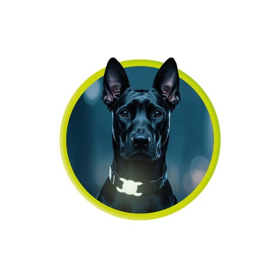 Zgarda fosforescenta pentru animale cu suport Apple AirTag Mobile Origin, verde (Mobile Origin, Ingredi) by www.silkase.ro Zgarda fosforescenta pentru animale cu suport Apple AirTag Mobile Origin, verde (Ingredi, MO-APC-FGRN) by www.silkase.ro
