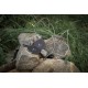 Pad Încărcare Wireless Tactical Base Plug, 15W (Bakr, 57983109762) by www.silkase.ro