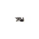 Modul Placă de Bază cu Conector Încărcare pentru Motorola Edge 30 Neo (Service Pack) Modul Placă de Bază cu Conector Încărcare pentru Motorola Edge 30 Neo (Service Pack) (Bakr, 5P68C21409) by www.silkase.ro