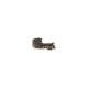 Placă cu Conector Încărcare pentru Xiaomi 12 / 12X, Service Pack Original Placă cu Conector Încărcare pentru Xiaomi 12 / 12X, Service Pack Original (Piese Schimb, 56000100L300) by www.silkase.ro