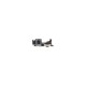 Modul Placă de Bază cu Conector Încărcare pentru Xiaomi 14T Pro (Service Pack) (Bakr, 56001400N1200) by www.silkase.ro