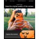 Protectie camera XL Spigen Glas.tR EZ Fit Optik Pro pentru iPhone 17 Pro Max, portocalie (Spigen, Ingredi) by www.silkase.ro Protectie camera XL Spigen Glas.tR EZ Fit Optik Pro pentru iPhone 17 Pro Max, portocalie (iPhone 17 Pro Max, AGL10650) by www.silkase.ro