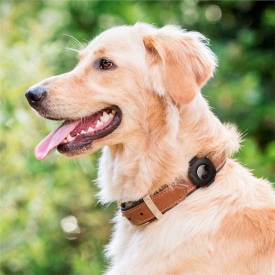 Husa de protectie Spigen Pet Collar compatibila cu Apple AirTag Negru (Spigen, Ingredi) by www.silkase.ro Husa de protectie Spigen Pet Collar compatibila cu Apple AirTag Negru (Ingredi, AHP03106) by www.silkase.ro