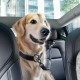 Dispozitiv Fixare Centură Auto Spigen PS100 pentru Animale de Companie, Negru Dispozitiv Fixare Centură Auto Spigen PS100 pentru Animale de Companie, Negru (Accesorii auto, ACP08926) by www.silkase.ro
